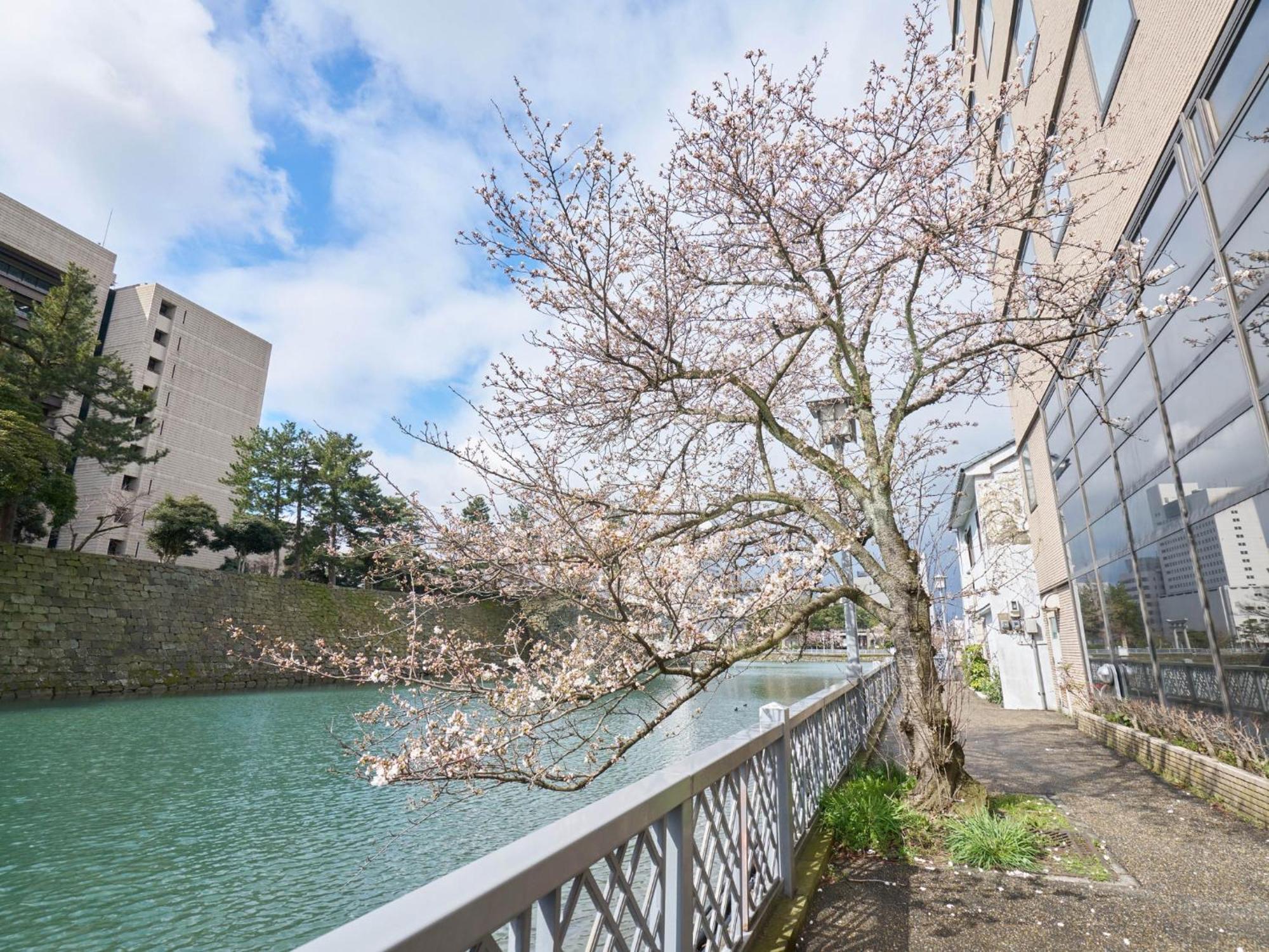Hotel Fukui Castle - Vacation Stay 58696V Dış mekan fotoğraf