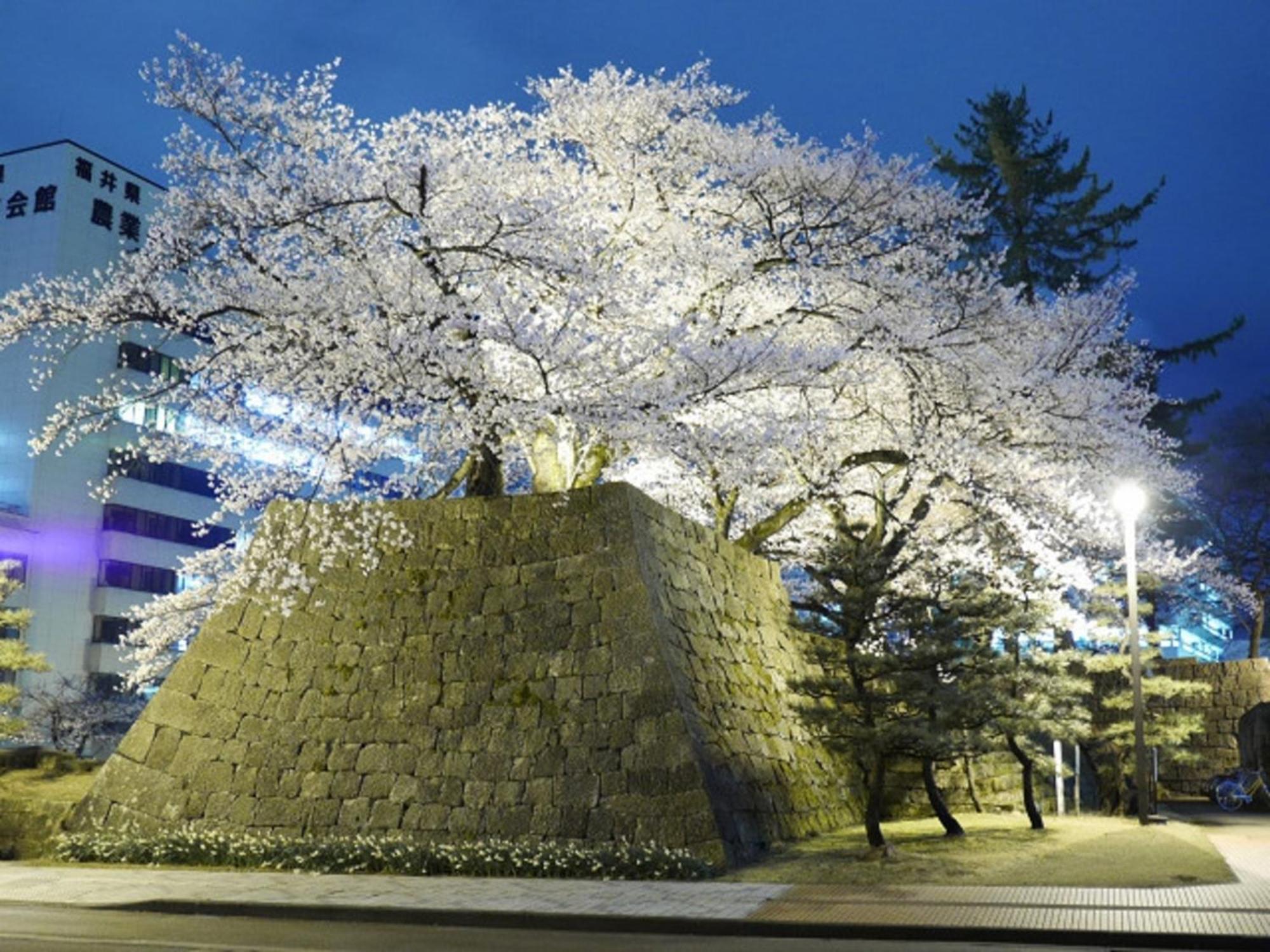 Hotel Fukui Castle - Vacation Stay 58696V Dış mekan fotoğraf