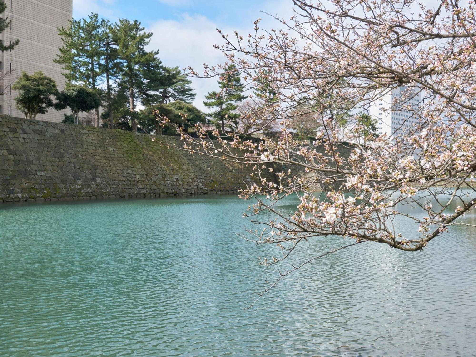 Hotel Fukui Castle - Vacation Stay 58696V Dış mekan fotoğraf